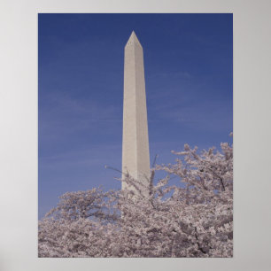 North America, USA, Washington D.C.. Washington Poster