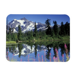 North America, USA, Washington, Heather Meadows Magnet