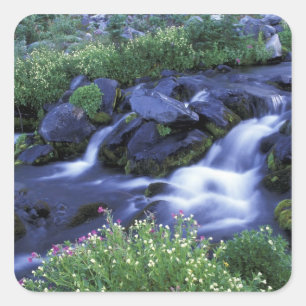 North America, USA, Washington, Mt. Rainier 3 Square Sticker