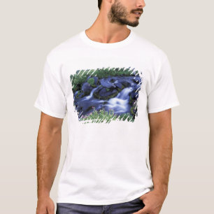 North America, USA, Washington, Mt. Rainier 3 T-Shirt