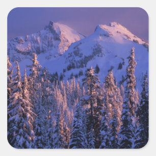 North America, USA, Washington, Mt. Rainier 4 Square Sticker