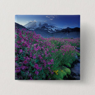 North America, USA, Washington, Mt. Rainier 6 15 Cm Square Badge