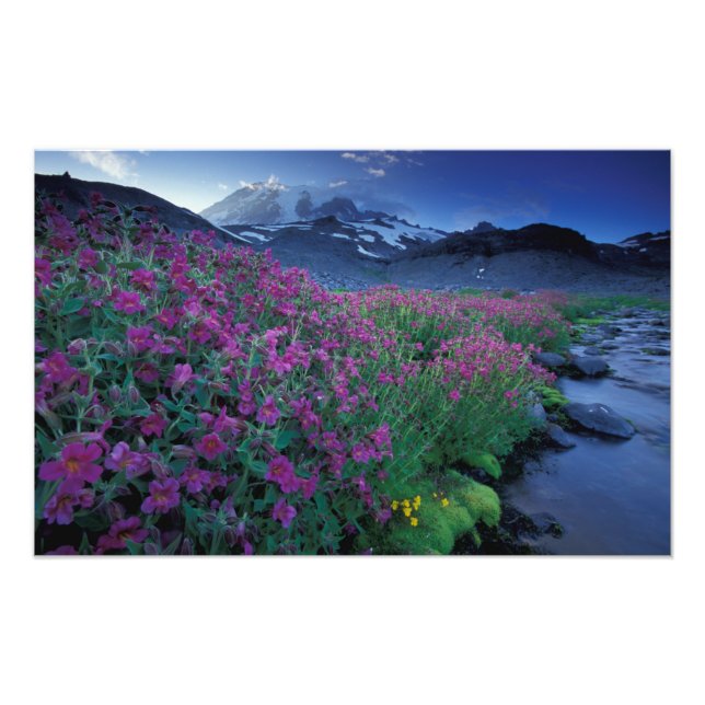 North America, USA, Washington, Mt. Rainier 6 Photo Print (Front)