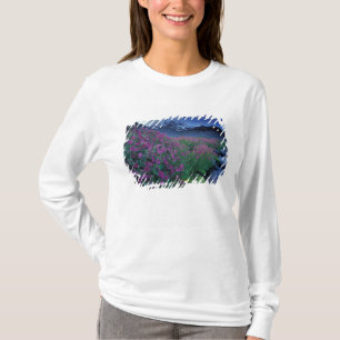 North America, USA, Washington, Mt. Rainier 6 T-Shirt