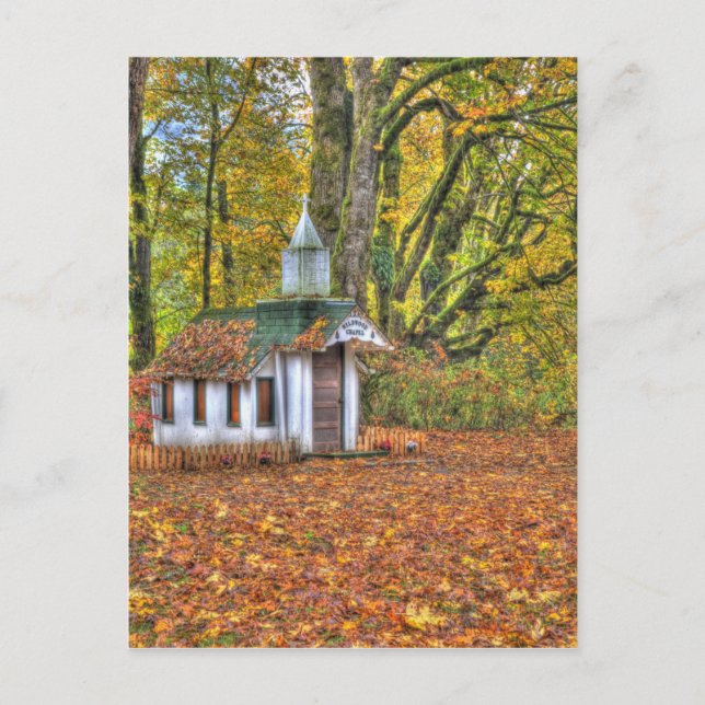 North America, USA, Washington, Newhalem, 2 Postcard (Front)