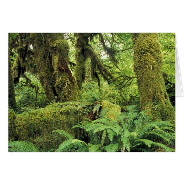 North America, USA, Washington, Olympic 3 (Front Horizontal)