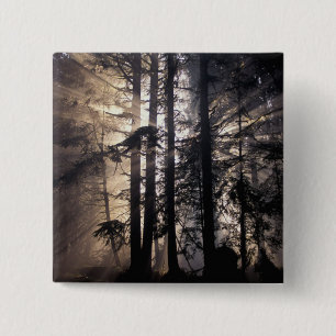 North America, USA, Washington, Olympic NF, 15 Cm Square Badge