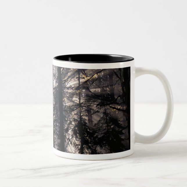 North America, USA, Washington, Olympic NF, Two-Tone Coffee Mug (Right)