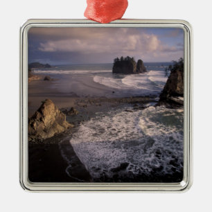 North America, USA, Washington, Olympic NP, Metal Tree Decoration