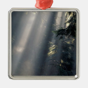 North America, USA, Washington, Olympic NP, Metal Tree Decoration