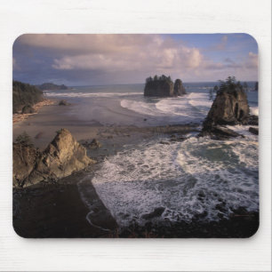 North America, USA, Washington, Olympic NP, Mouse Mat
