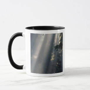 North America, USA, Washington, Olympic NP, Mug
