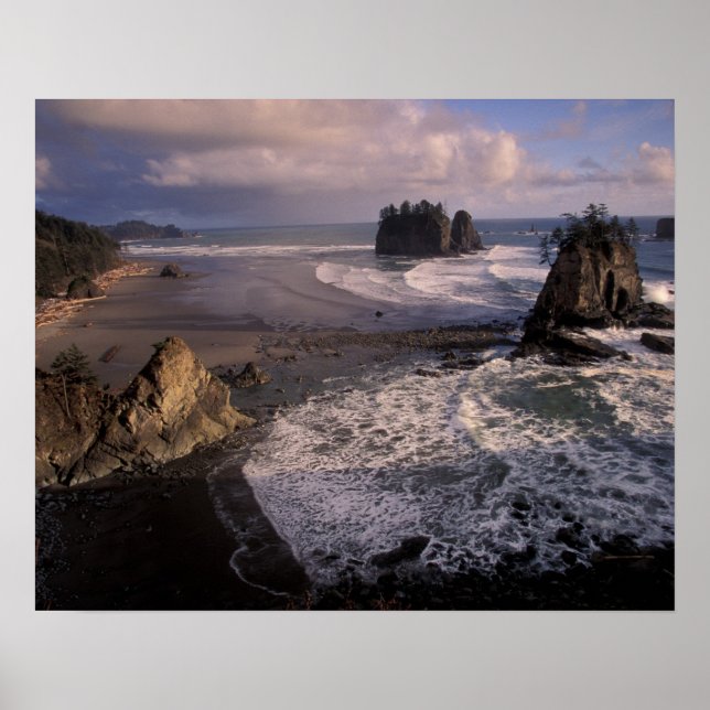 North America, USA, Washington, Olympic NP, Poster (Front)