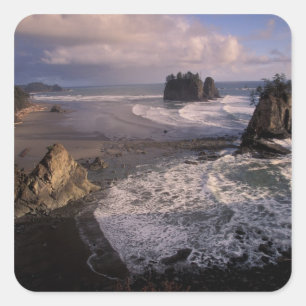 North America, USA, Washington, Olympic NP, Square Sticker