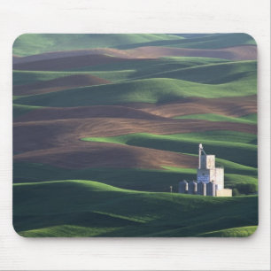 North America, USA, Washington, Palouse. The Mouse Mat