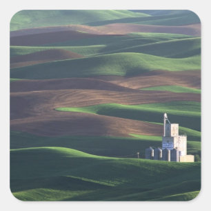 North America, USA, Washington, Palouse. The Square Sticker