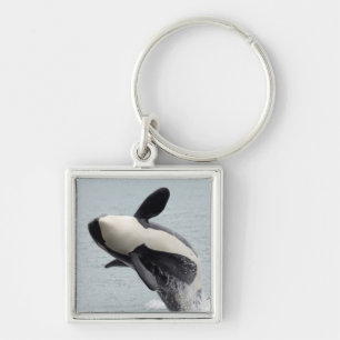 North America, USA, Washington, San Juan Key Ring