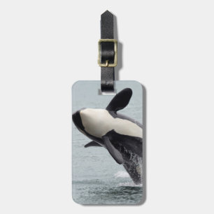 North America, USA, Washington, San Juan Luggage Tag