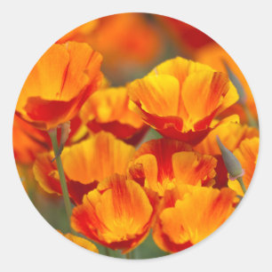 North America, USA, Washington, Seattle Classic Round Sticker