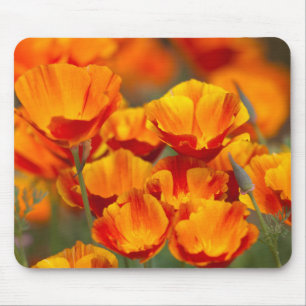 North America, USA, Washington, Seattle Mouse Mat