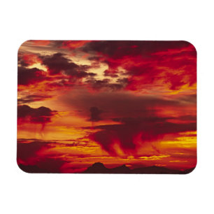 North America, USA, Washington, Seattle. Sunrise Magnet