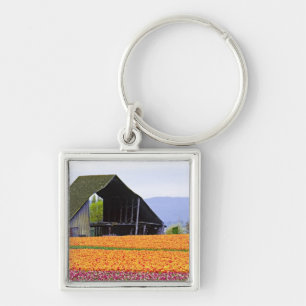 North America, USA, Washington, Skagit Valley. 2 Key Ring