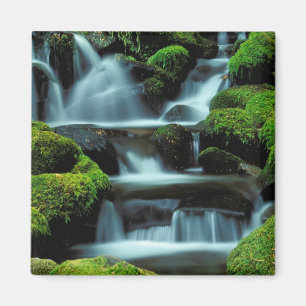North America; USA; Washington, Sol Duc Cascade Magnet