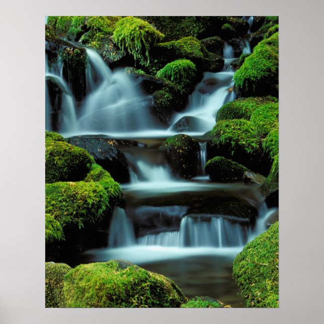 North America; USA; Washington, Sol Duc Cascade Poster (Front)