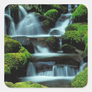 North America; USA; Washington, Sol Duc Cascade Square Sticker