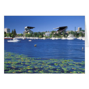 North America, USA, Washington State, Seattle,