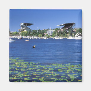 North America, USA, Washington State, Seattle, Magnet