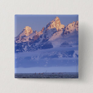 North America, USA, Wyoming, Grand Teton NP, 2 15 Cm Square Badge