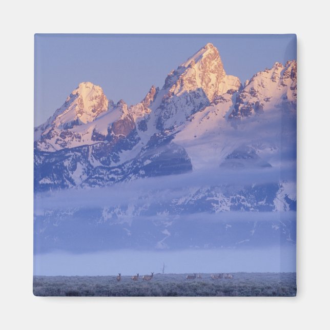 North America, USA, Wyoming, Grand Teton NP, 2 Magnet (Front)