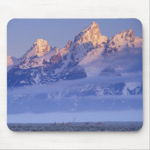 North America, USA, Wyoming, Grand Teton NP, 2 Mouse Mat