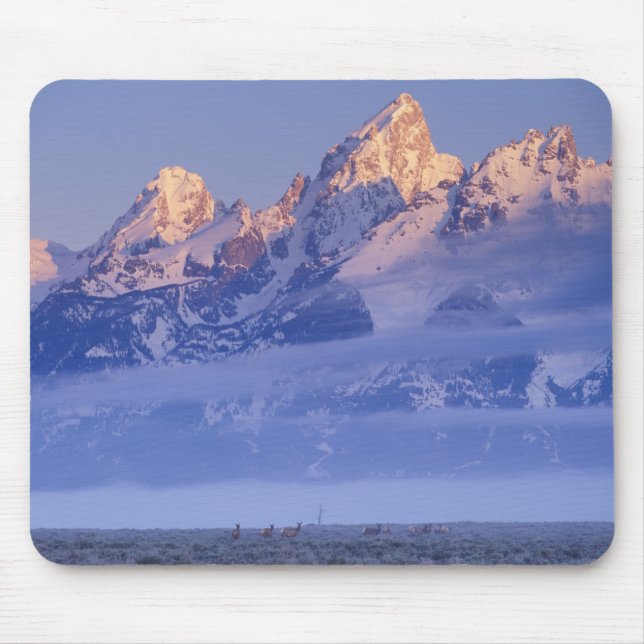 North America, USA, Wyoming, Grand Teton NP, 2 Mouse Mat (Front)