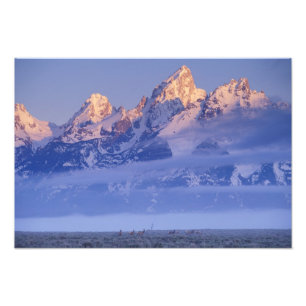 North America, USA, Wyoming, Grand Teton NP, 2 Photo Print