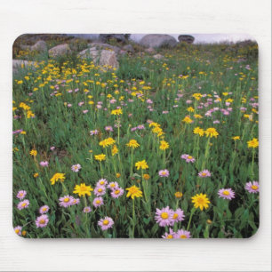 North America, USA, Wyoming, Yellowstone 2 Mouse Mat