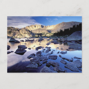 North America, USA, Wyoming, Yellowstone 3 Postcard