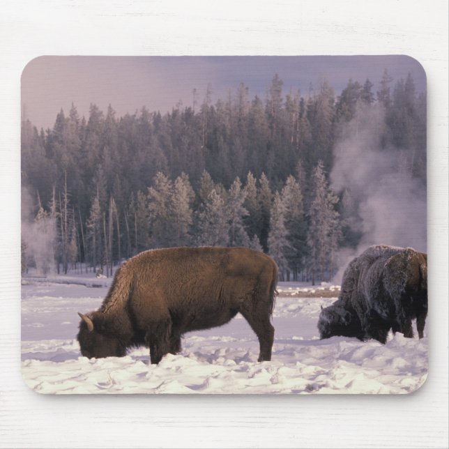North America, USA, Wyoming, Yellowstone NP, Mouse Mat (Front)