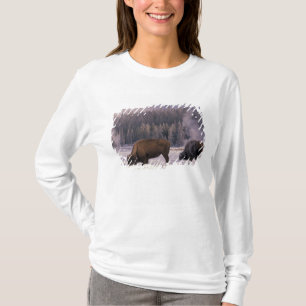 North America, USA, Wyoming, Yellowstone NP, T-Shirt