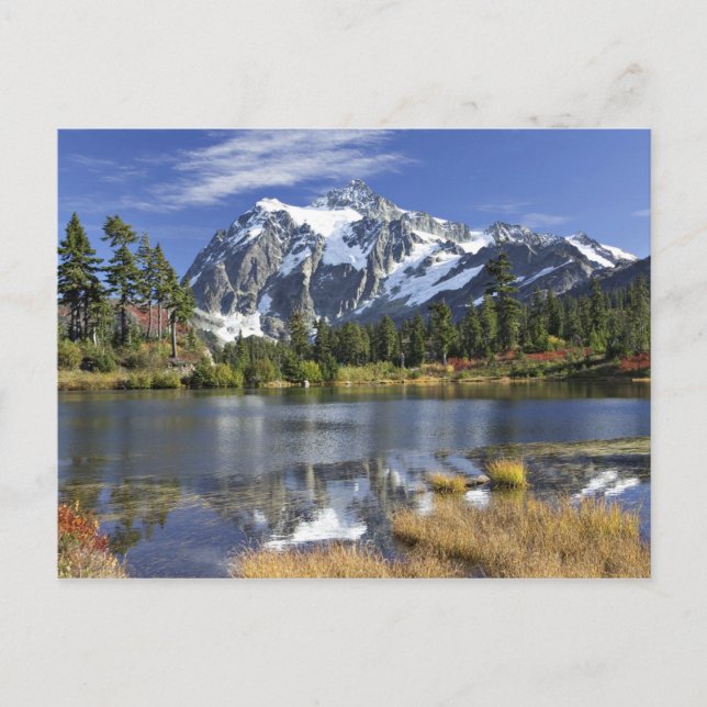 North America, Washington, Cascades. Mt. Shuksan Postcard (Front)