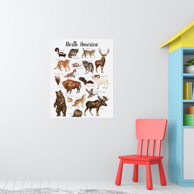 North American Animals | Education Classroom Poster (Nursery 1)