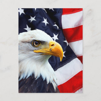 North American Bald Eagle on American flag Postcard