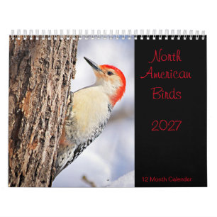 North American Birds 2027 Calendar
