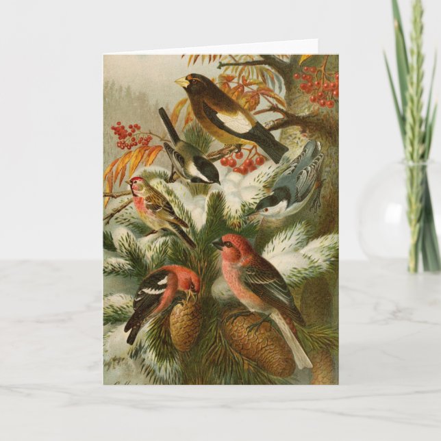 North American Birds | Gustav Mützel Card (Front)