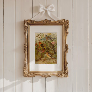 North American Birds   Gustav Mützel Poster