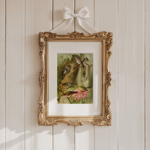 North American Birds   Gustav Mützel Poster