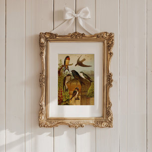 North American Birds   Gustav Mützel Poster