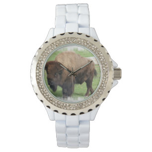 North American Buffalo Watch