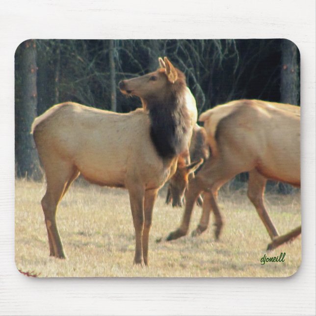 North American Elk Mouse Mat (Front)
